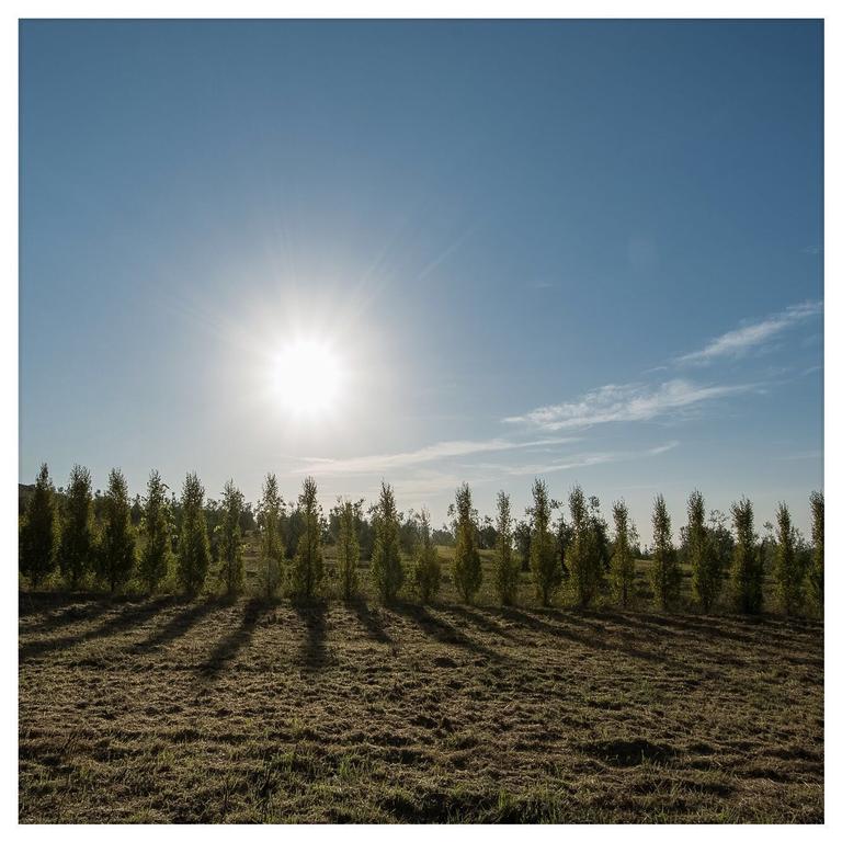 Agriturismo La Torricella Πιστόια Εξωτερικό φωτογραφία
